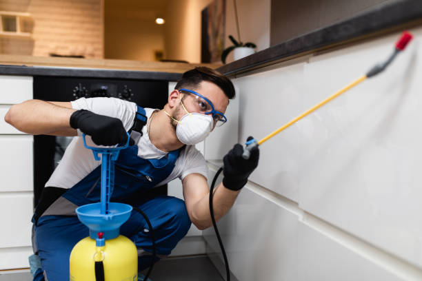 Reliable Delaware City, DE Pest Control Solutions