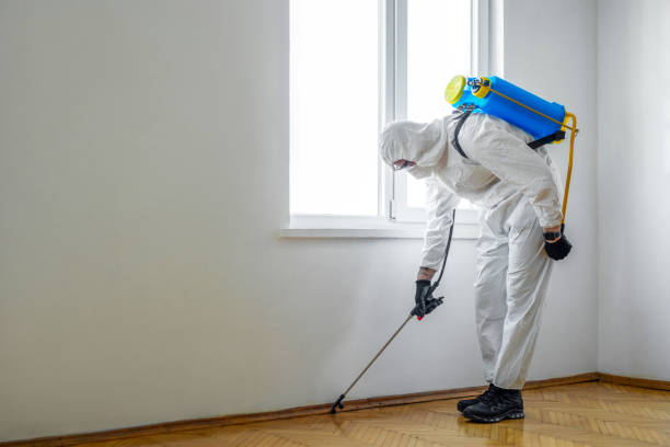Best Pest Control Near Me in Delaware City, DE
