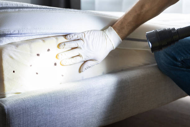 Best Wasp Removal Services  in Laware City, DE