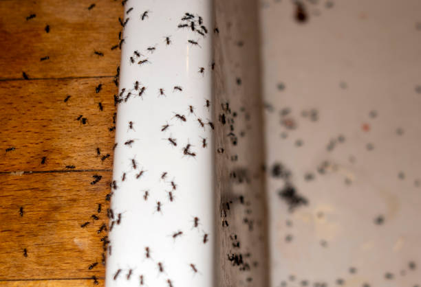 Best Commercial Pest Control Services  in Laware City, DE