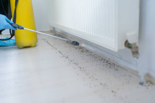 Best Rat Extermination Near Me  in Laware City, DE